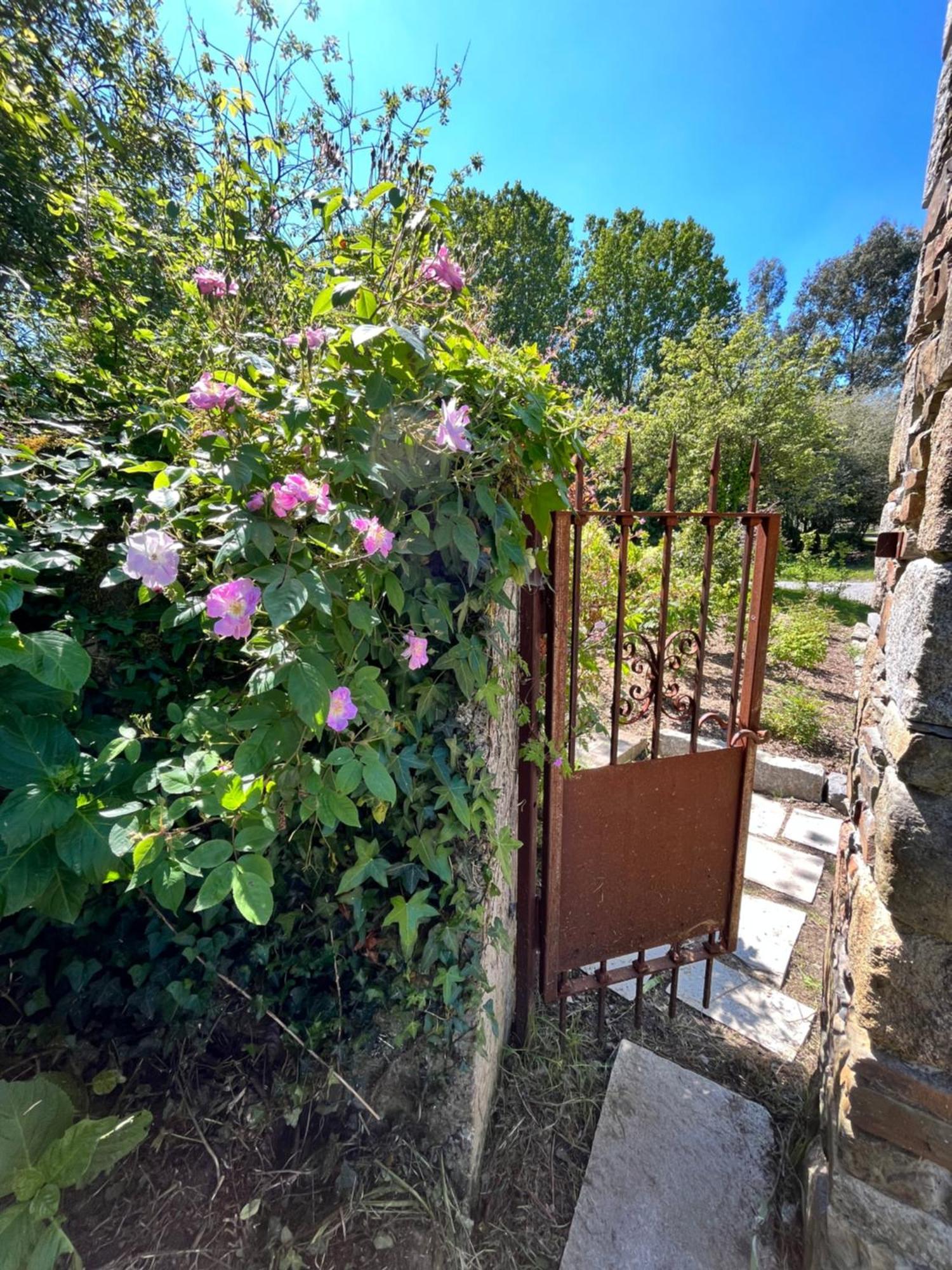 Domaine Du Tertre Ychot Hotel Dol-de-Bretagne Eksteriør billede