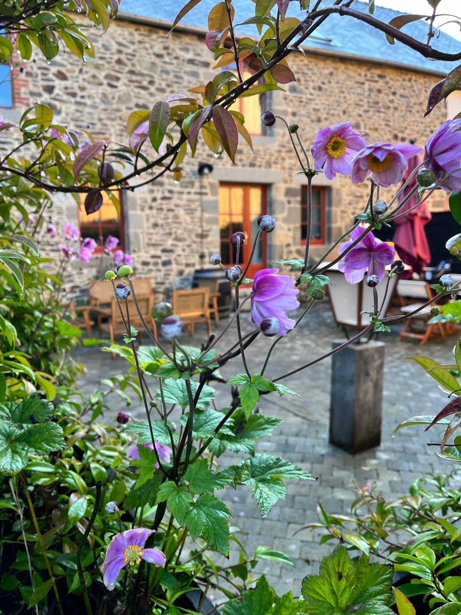 Domaine Du Tertre Ychot Hotel Dol-de-Bretagne Eksteriør billede
